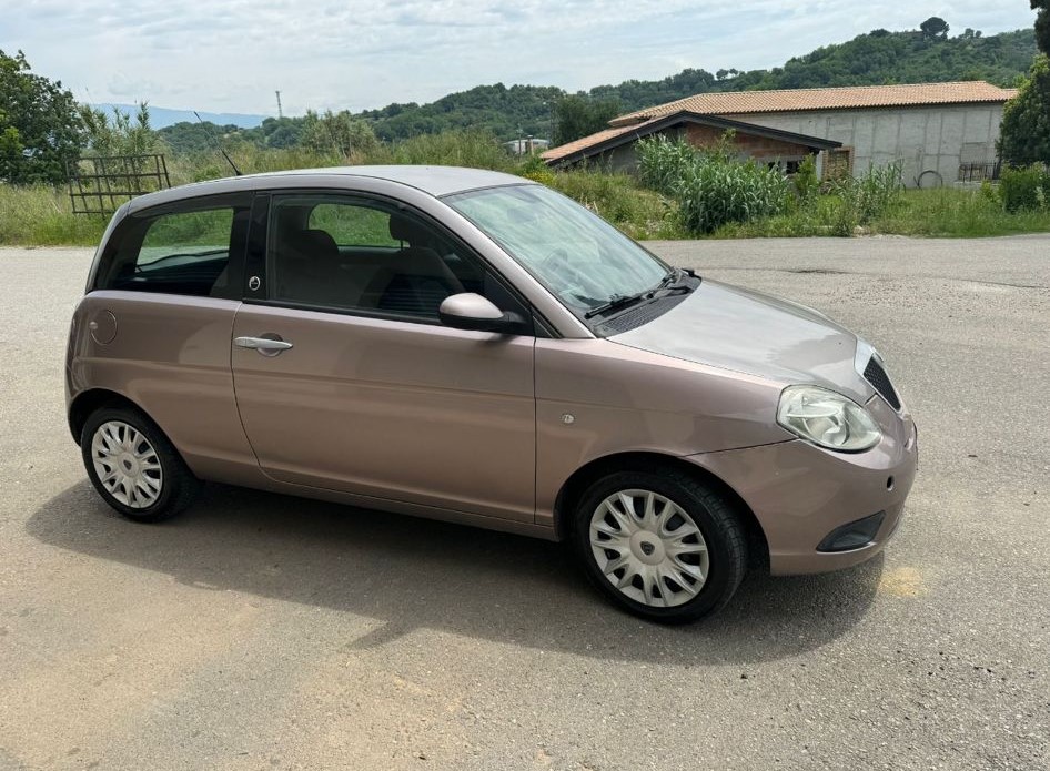 
								LANCIA YPSILON 1.4 77CV PLATINO ECOCHIC GPL ANNO 2009 completo									