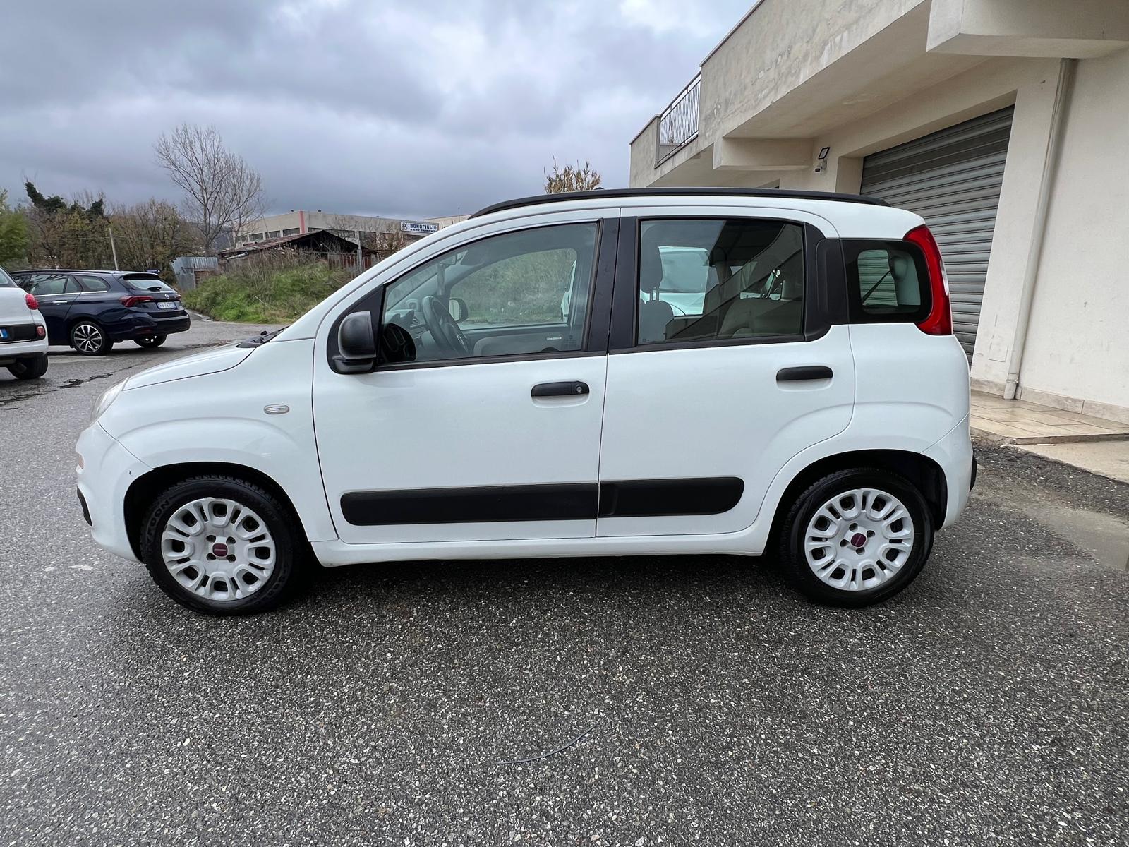 
								FIAT PANDA 1.3 MJT 75CV SeS LOUNGE ANNO 2014 completo									