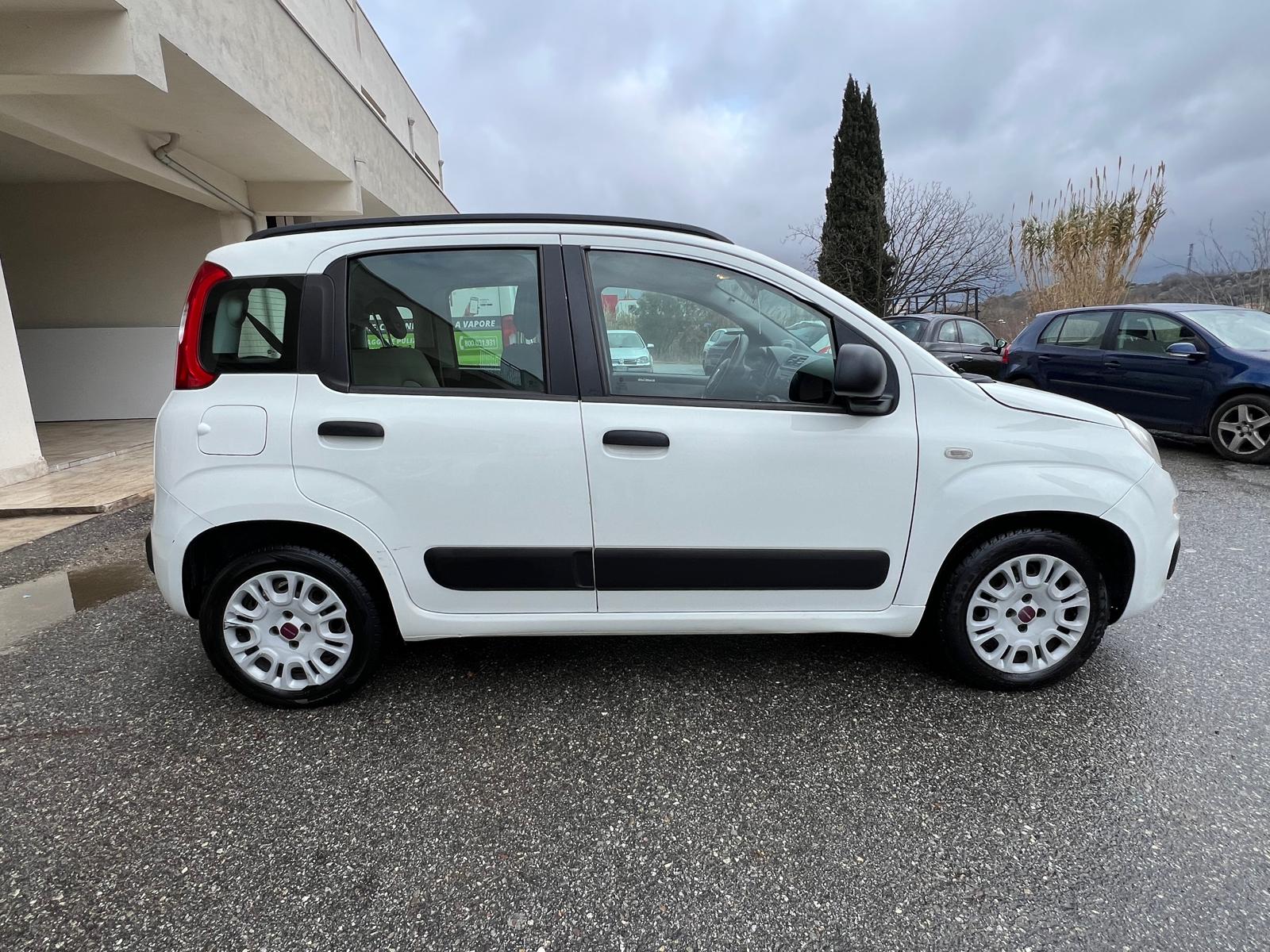 
								FIAT PANDA 1.3 MJT 75CV SeS LOUNGE ANNO 2014 completo									