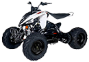 Quad